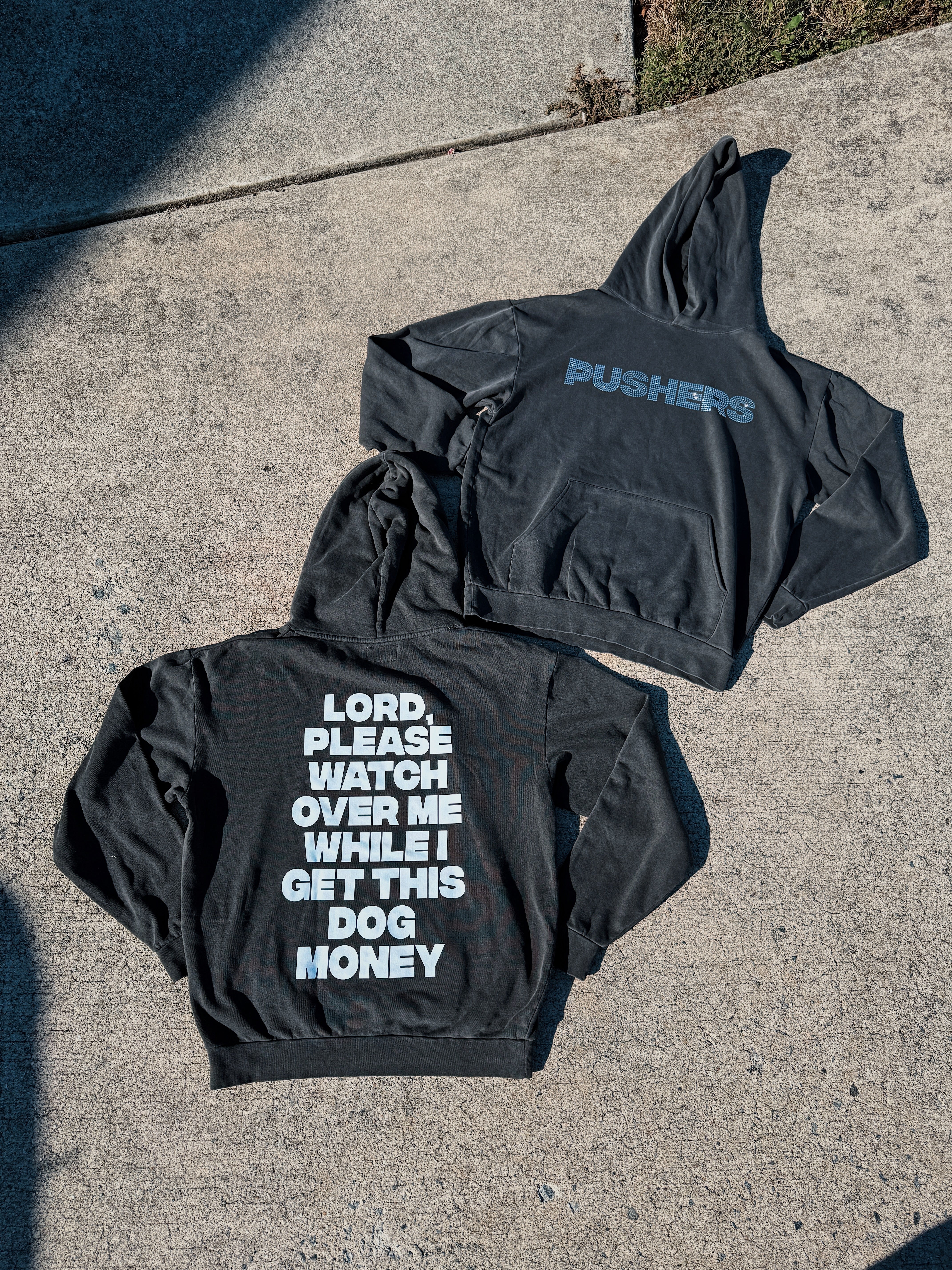 Dog Money Hoodie ✨