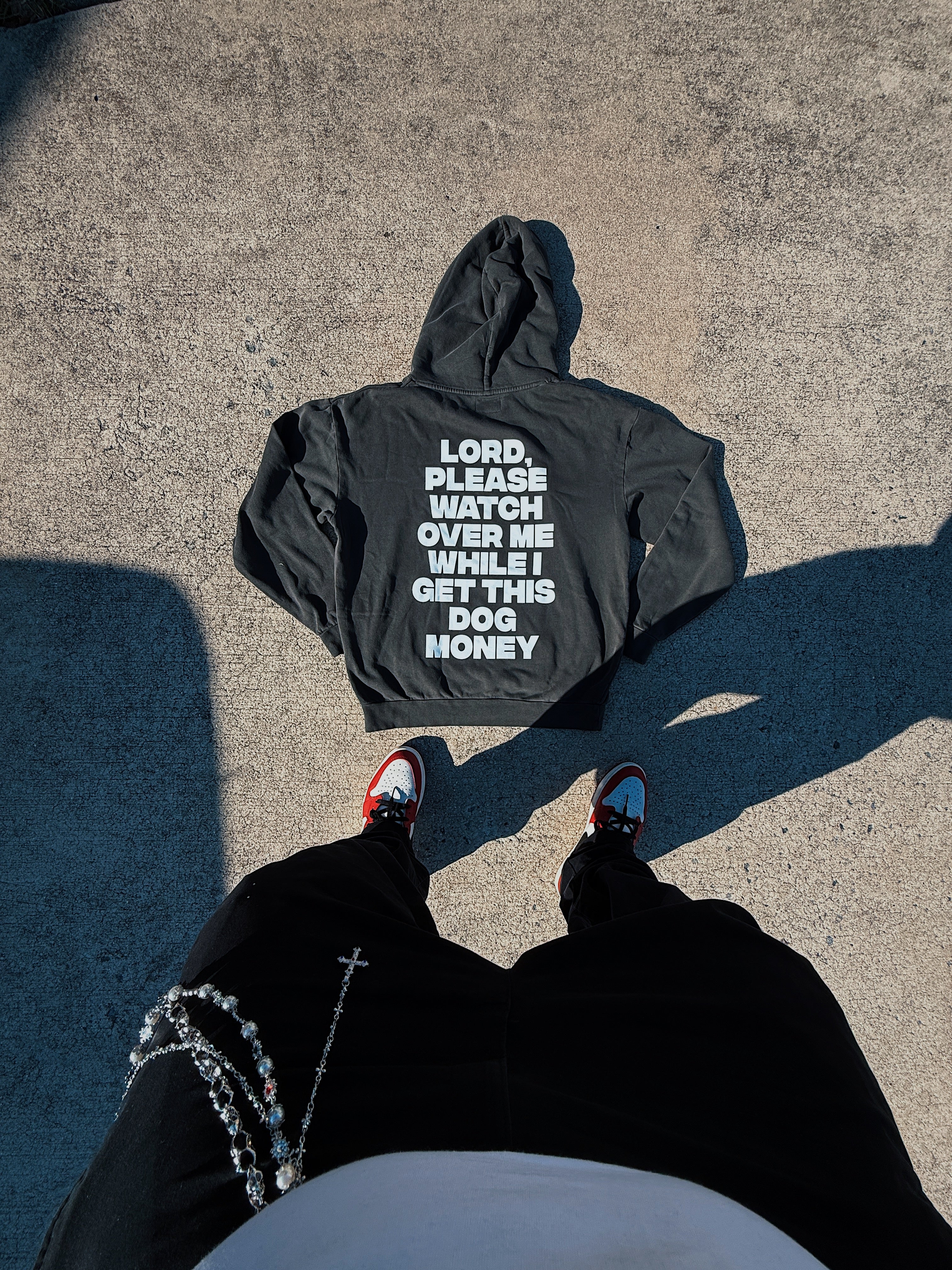 Dog Money Hoodie ✨