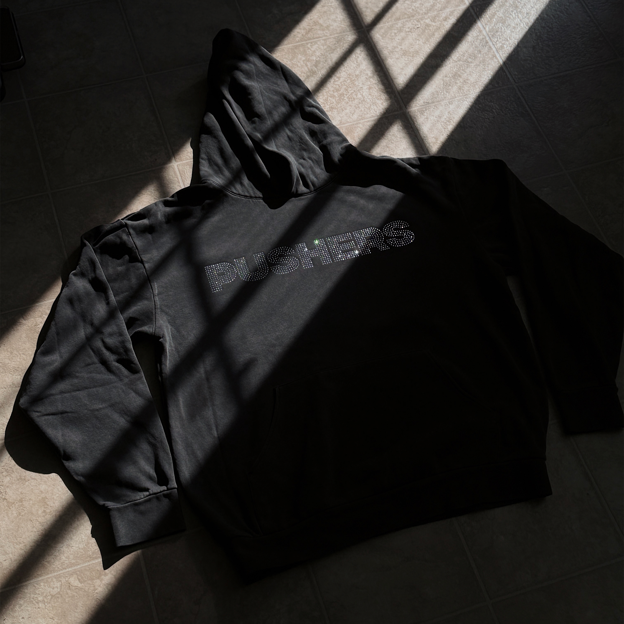 Dog Money Hoodie ✨